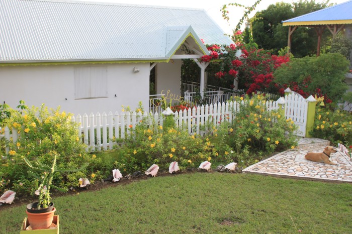 jardin